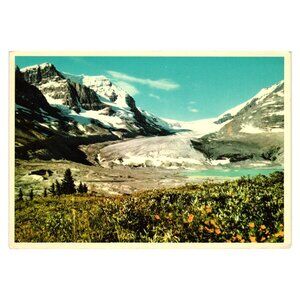 Vintage Canadian Rockies Postcard 1950s Athabasca Glacier Jasper National Park